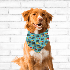 Chick Magnet - BARK 