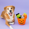 Halloween Squeakie Buddies - Paquete de 3 - BARK 