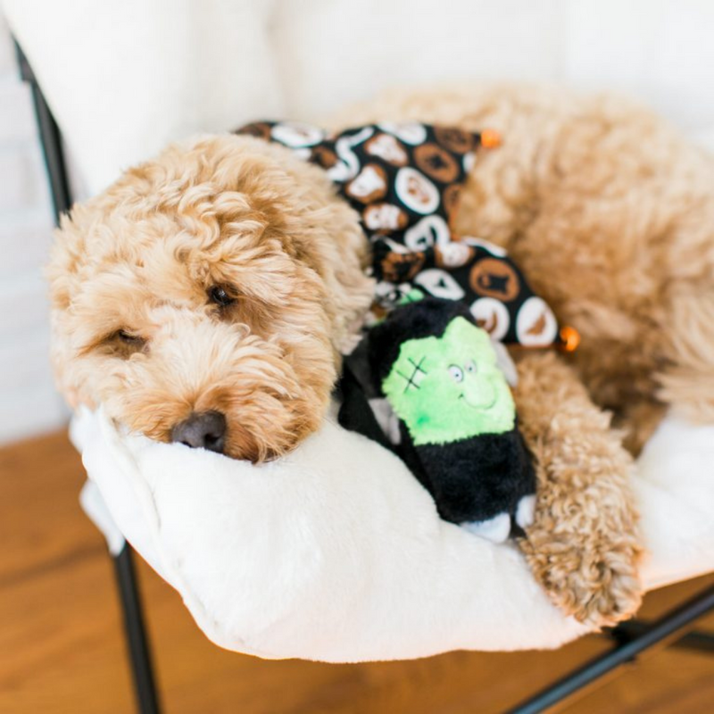 Halloween Squeakie Buddies - Paquete de 3 - BARK 