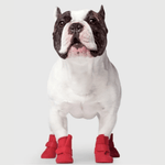 Botas de Caucho - Unlined Wellies - BARK 