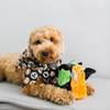 Halloween Squeakie Buddies - Paquete de 3 - BARK 