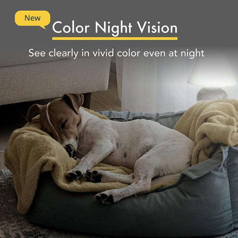 Cámara de vigilancia 360° para perros - Furbo – BARK