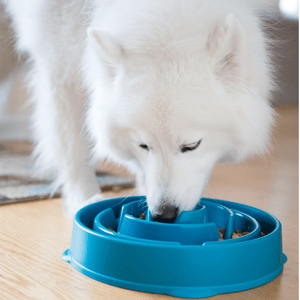 Outward Hound Fun Feeder - BARK
