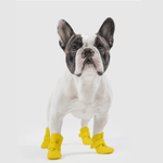 Botas de Caucho - Unlined Wellies - BARK 