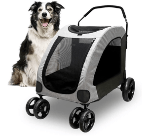 Coche para perros grandes hasta 120lb - BARK 