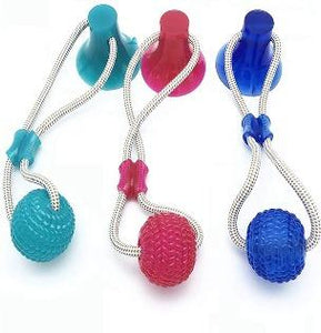 Molar bite toy - BARK 