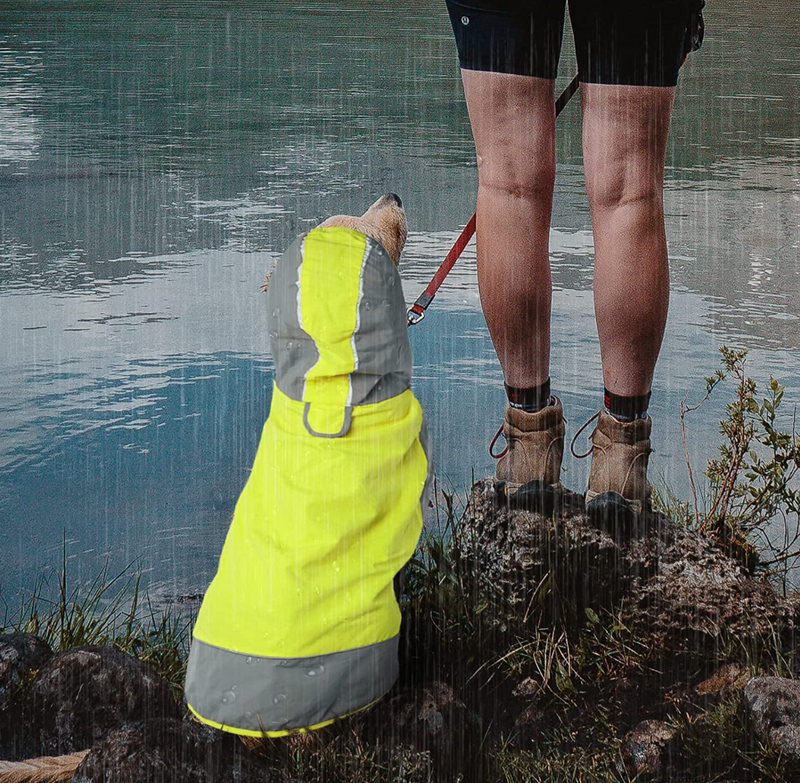 Capote ajustable para perros con rayas reflectivas - Raincoat