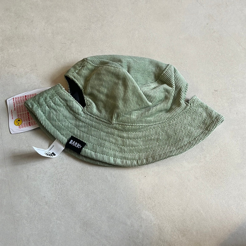 Blunt hound bucket hat