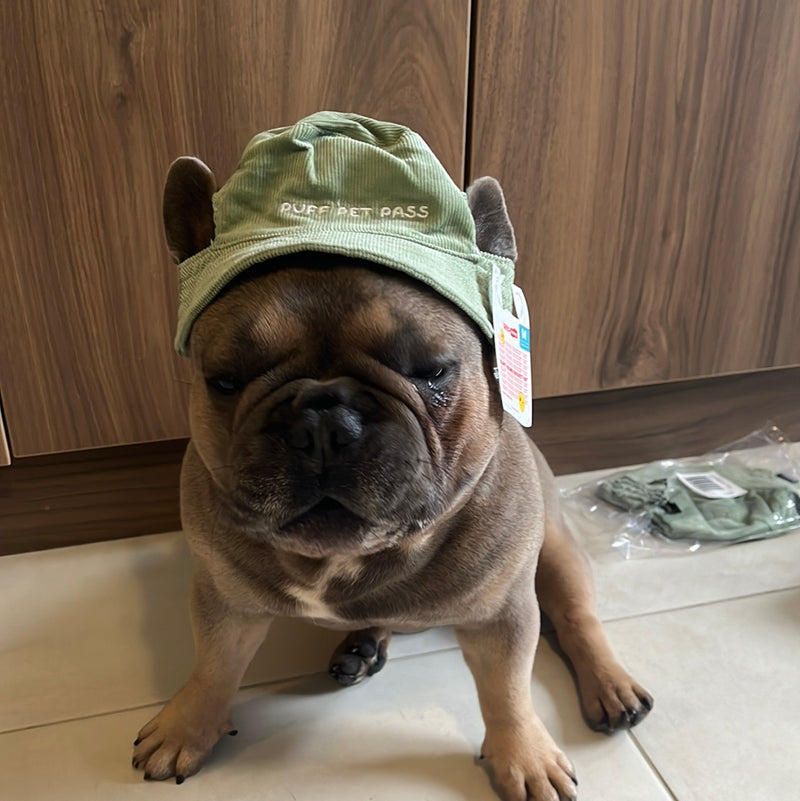 Blunt hound bucket hat