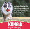 Kong Flyer