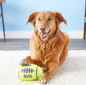 KONG AirDog Football Dog Toy - BARK