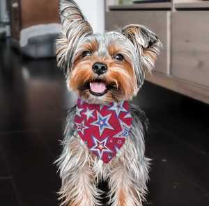 Red Multi Star - BARK 